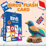Birds Flash Cards - Image 3