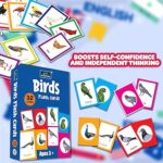 Birds Flash Cards - Image 4