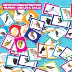 Birds Flash Cards - Image 5