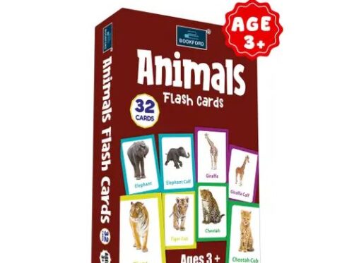 Animals Flash Cards