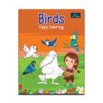 Birds Copy Coloring