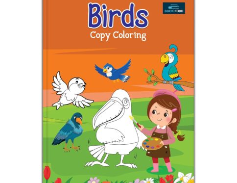 Birds Copy Coloring