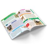 Young Minds - Animal Encyclopaedia - Image 3