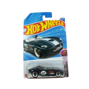 Hot Wheels 2025 X Raycers . Salt Shaker