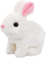 Cartoon Animal Pet Fur Rabbit