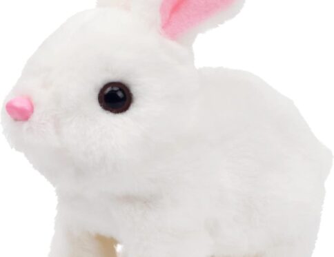 Cartoon Animal Pet Fur Rabbit
