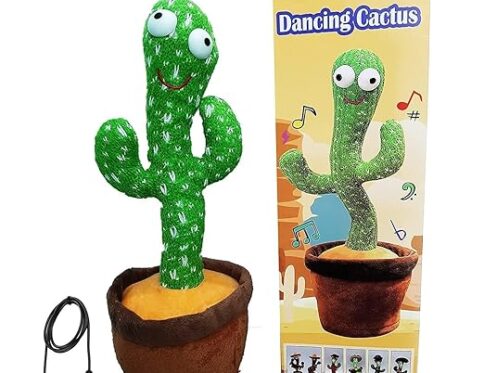 Dancing Cactus