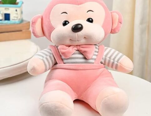 Soft Toy – Jacket Monkey