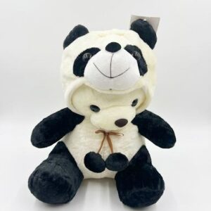 Teddy Bear with Panda Costume