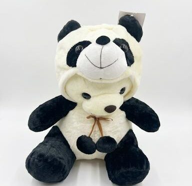 Teddy Bear with Panda Costume