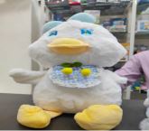 Super Cute Duck White