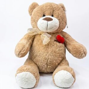 Teddy Plush Brown with Heart
