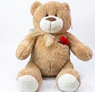 Teddy Plush Brown with Heart