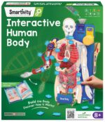 Smartivity Interactive Human body