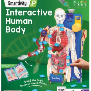 Smartivity Interactive Human body