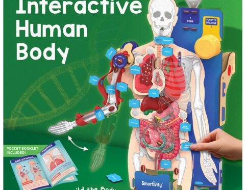 Smartivity Interactive Human body