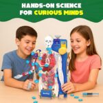 Smartivity Interactive Human body - Image 4