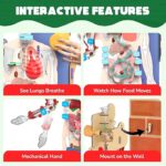 Smartivity Interactive Human body - Image 5