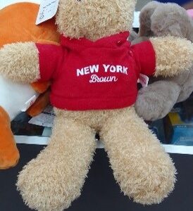 Teddy bear Stuffed Animal 35 cm (New york)