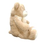 Teddy Plush Brown with Heart - Image 3