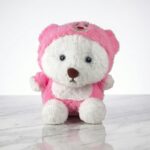 Hoodie Teddy Plush small Assorted
