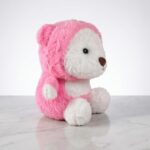 Hoodie Teddy Plush small Assorted - Image 3