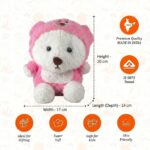 Hoodie Teddy Plush small Assorted - Image 6