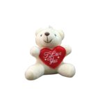 Cute Teddy Keychain with Heart