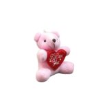 Cute Teddy Keychain with Heart - Image 9
